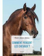 Comment pensent les chevaux ?