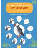 10 étapes pour peindre les oiseaux à l'aquarelle