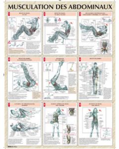 Poster : Musculation des abdominaux