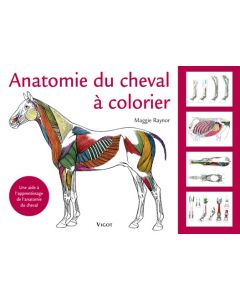 Anatomie du cheval à colorier